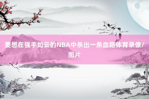 要想在强手如云的NBA中杀出一条血路体育录像/图片