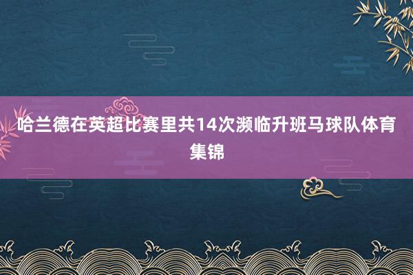 哈兰德在英超比赛里共14次濒临升班马球队体育集锦