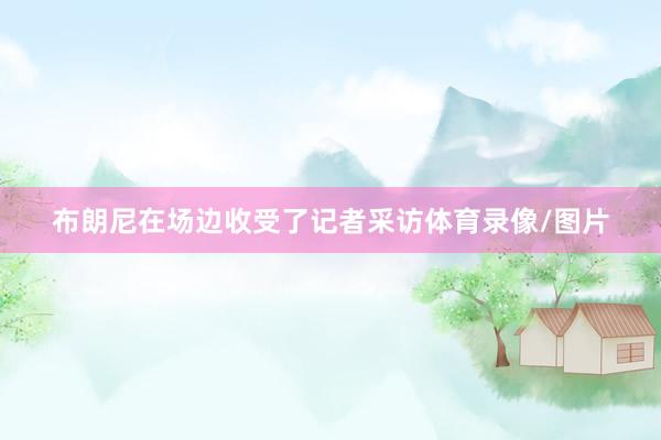 布朗尼在场边收受了记者采访体育录像/图片