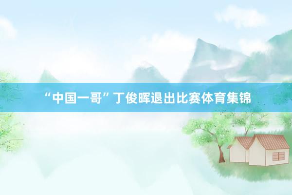 “中国一哥”丁俊晖退出比赛体育集锦