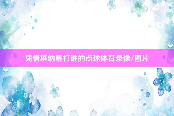 凭借塔纳塞打进的点球体育录像/图片