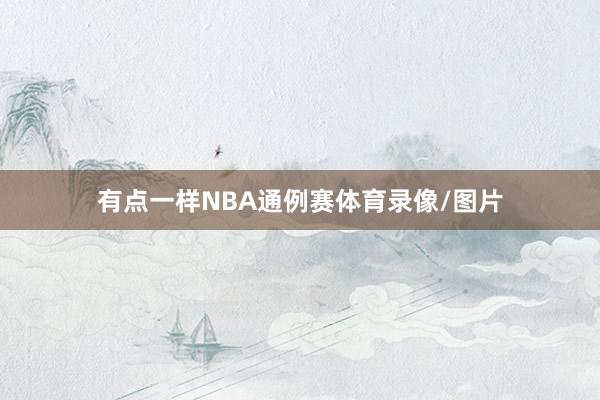 有点一样NBA通例赛体育录像/图片