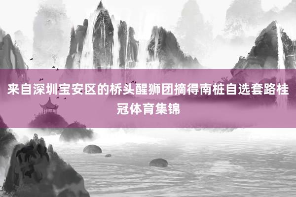 来自深圳宝安区的桥头醒狮团摘得南桩自选套路桂冠体育集锦