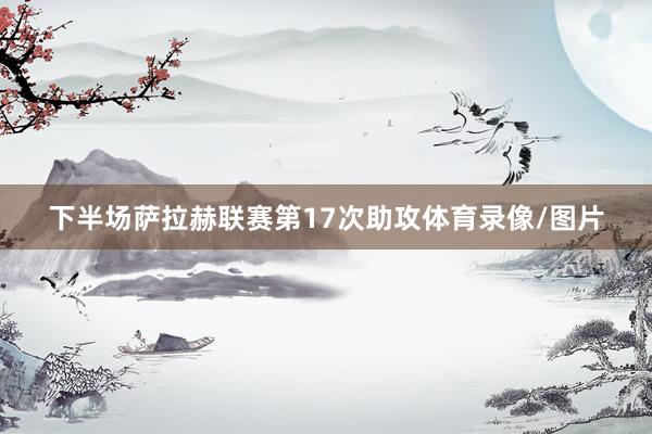 下半场萨拉赫联赛第17次助攻体育录像/图片
