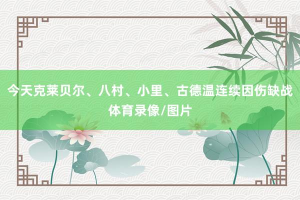 今天克莱贝尔、八村、小里、古德温连续因伤缺战体育录像/图片