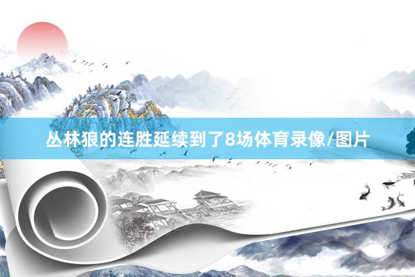 丛林狼的连胜延续到了8场体育录像/图片