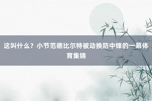 这叫什么？小节范德比尔特被动换防中锋的一幕体育集锦