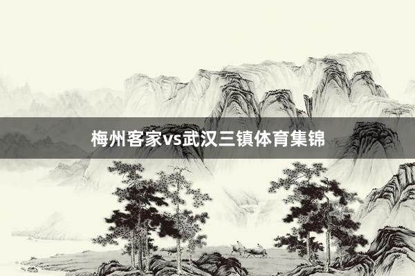梅州客家vs武汉三镇体育集锦