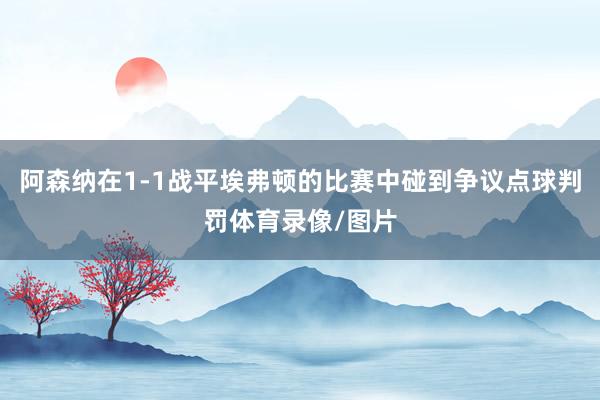 阿森纳在1-1战平埃弗顿的比赛中碰到争议点球判罚体育录像/图片