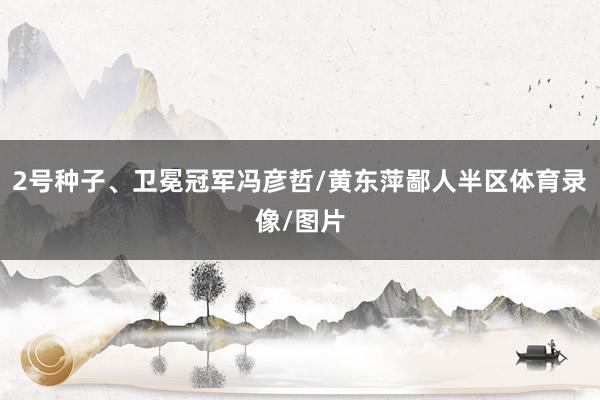 2号种子、卫冕冠军冯彦哲/黄东萍鄙人半区体育录像/图片