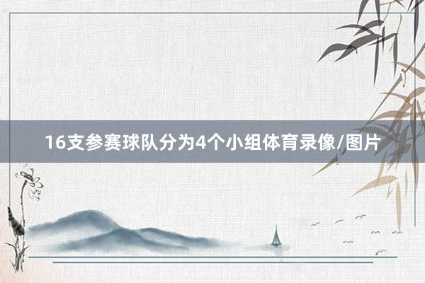 16支参赛球队分为4个小组体育录像/图片
