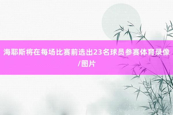 海耶斯将在每场比赛前选出23名球员参赛体育录像/图片
