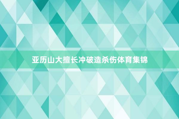 亚历山大擅长冲破造杀伤体育集锦