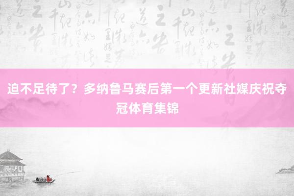 迫不足待了？多纳鲁马赛后第一个更新社媒庆祝夺冠体育集锦