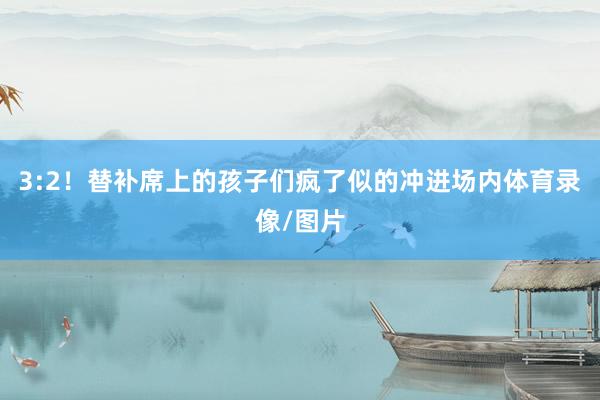 3:2！替补席上的孩子们疯了似的冲进场内体育录像/图片