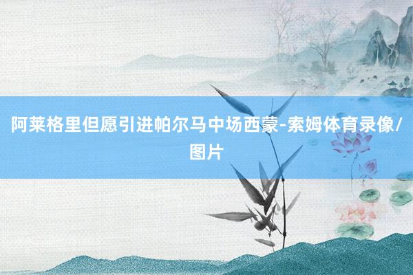 阿莱格里但愿引进帕尔马中场西蒙-索姆体育录像/图片