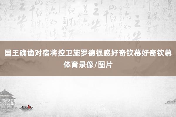 国王确凿对宿将控卫施罗德很感好奇钦慕好奇钦慕体育录像/图片