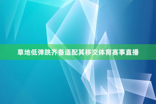 草地低弹跳齐备适配其移交体育赛事直播