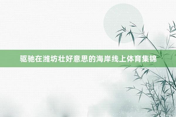 驱驰在潍坊壮好意思的海岸线上体育集锦