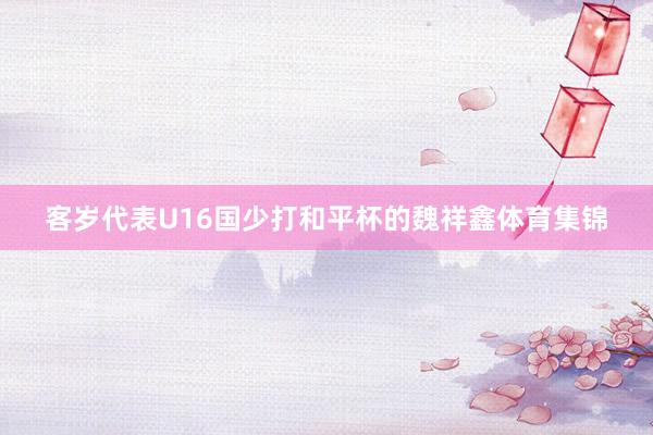 客岁代表U16国少打和平杯的魏祥鑫体育集锦