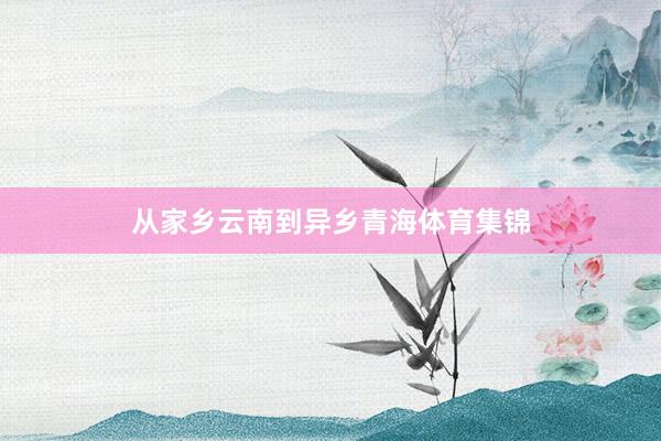 从家乡云南到异乡青海体育集锦
