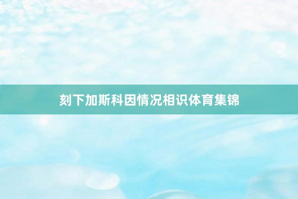 刻下加斯科因情况相识体育集锦