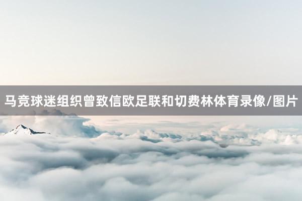 马竞球迷组织曾致信欧足联和切费林体育录像/图片