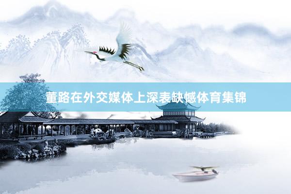 董路在外交媒体上深表缺憾体育集锦