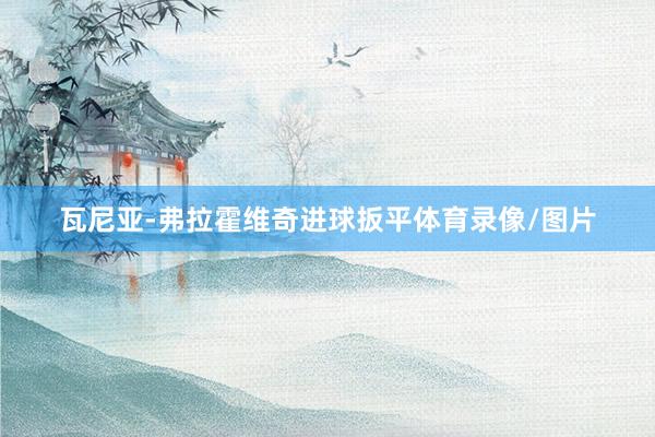 瓦尼亚-弗拉霍维奇进球扳平体育录像/图片