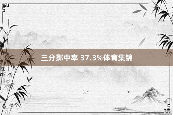 三分掷中率 37.3%体育集锦