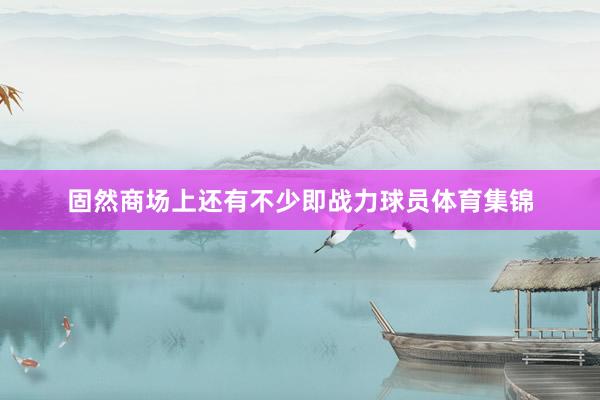 固然商场上还有不少即战力球员体育集锦