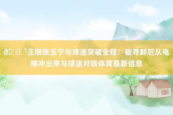 📹王刚张玉宁与球迷突破全程：被寻衅后从电梯冲出来与球迷对喷体育最新信息