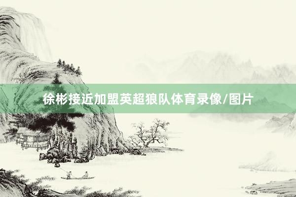 徐彬接近加盟英超狼队体育录像/图片