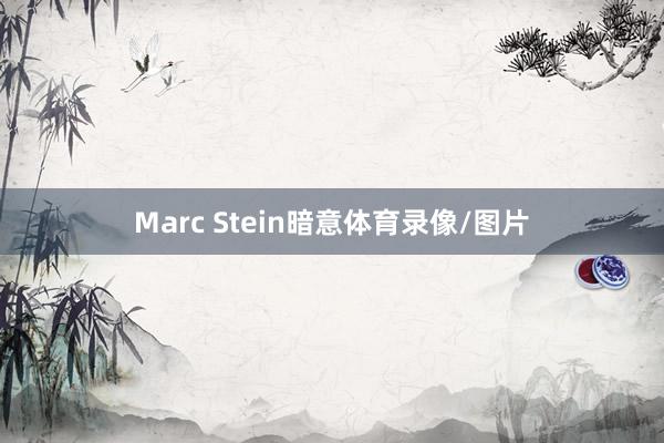 Marc Stein暗意体育录像/图片