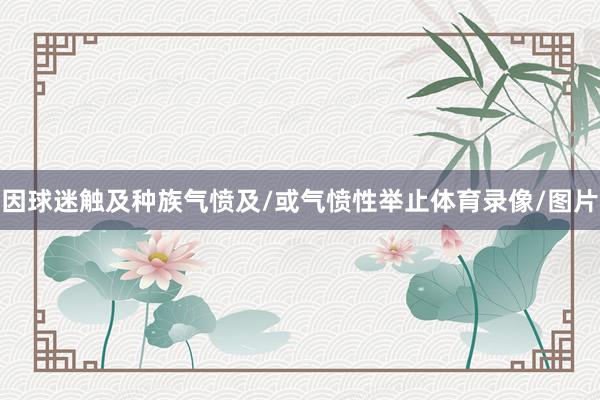 因球迷触及种族气愤及/或气愤性举止体育录像/图片