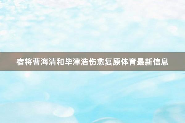 宿将曹海清和毕津浩伤愈复原体育最新信息
